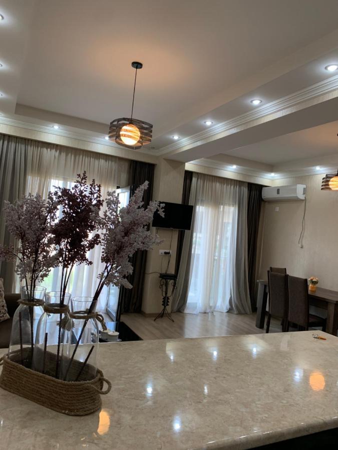 Apartment In The New City ティビリシ エクステリア 写真