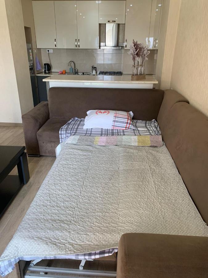 Apartment In The New City ティビリシ エクステリア 写真